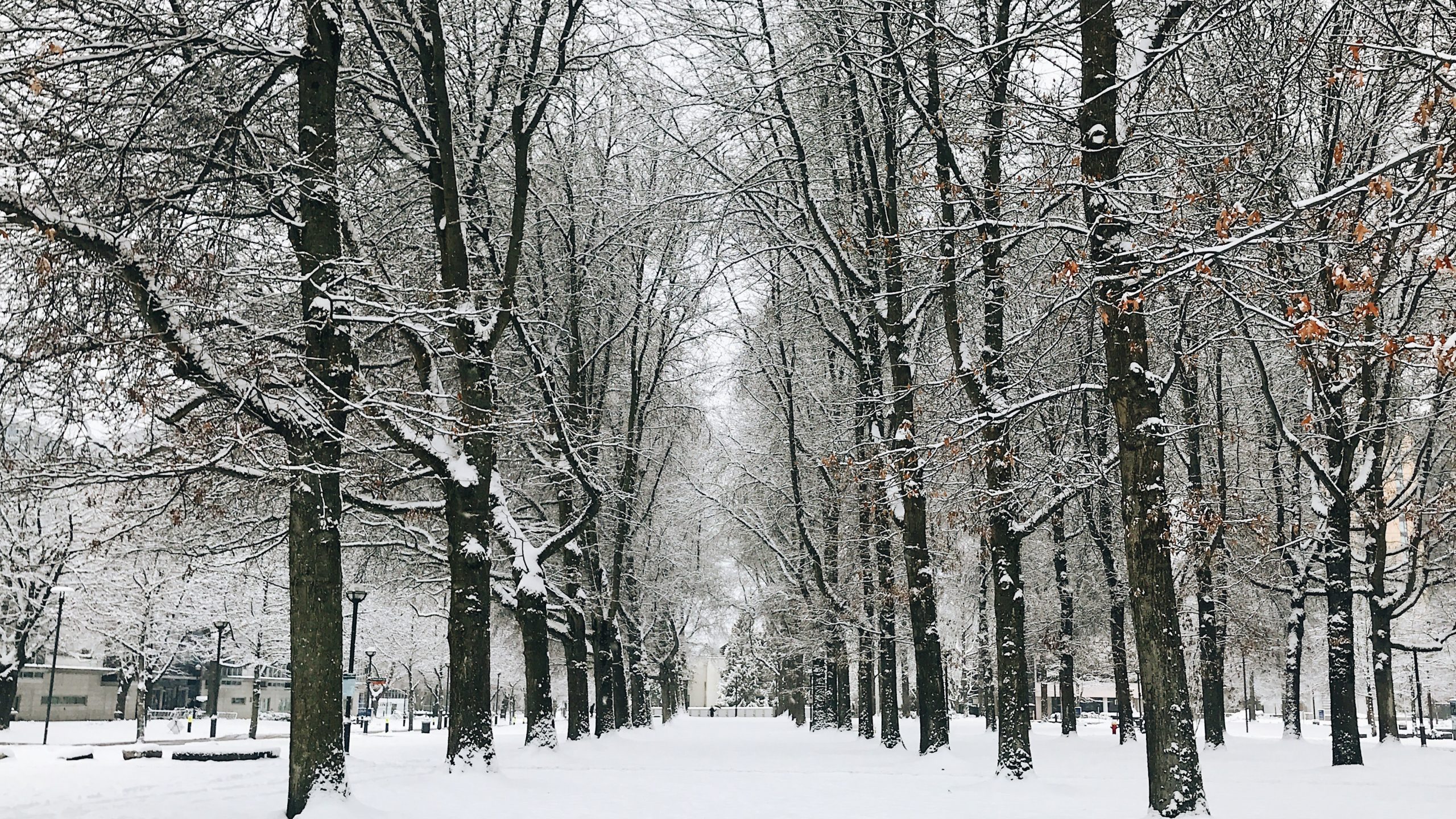 Январь природа. Зима набережная архангельск. Образ зимы. Красивая природа января. 6 сейчас зима.