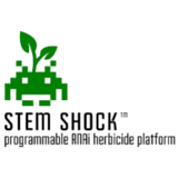 StemShock