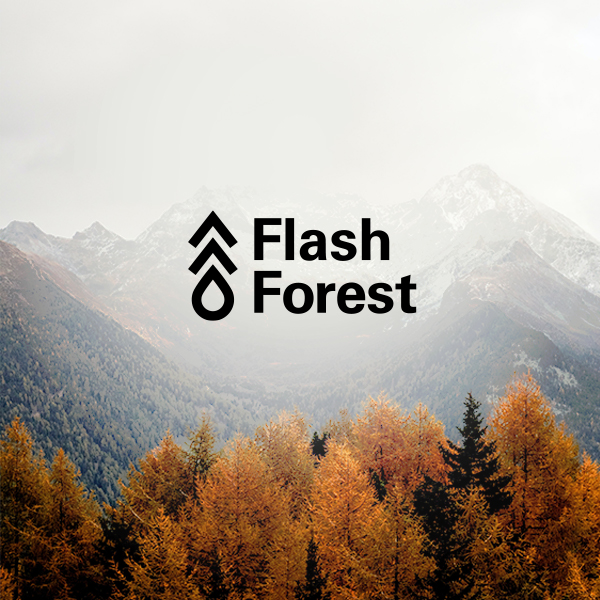 Top 10 Spotlight Flash Forest New Ventures BC