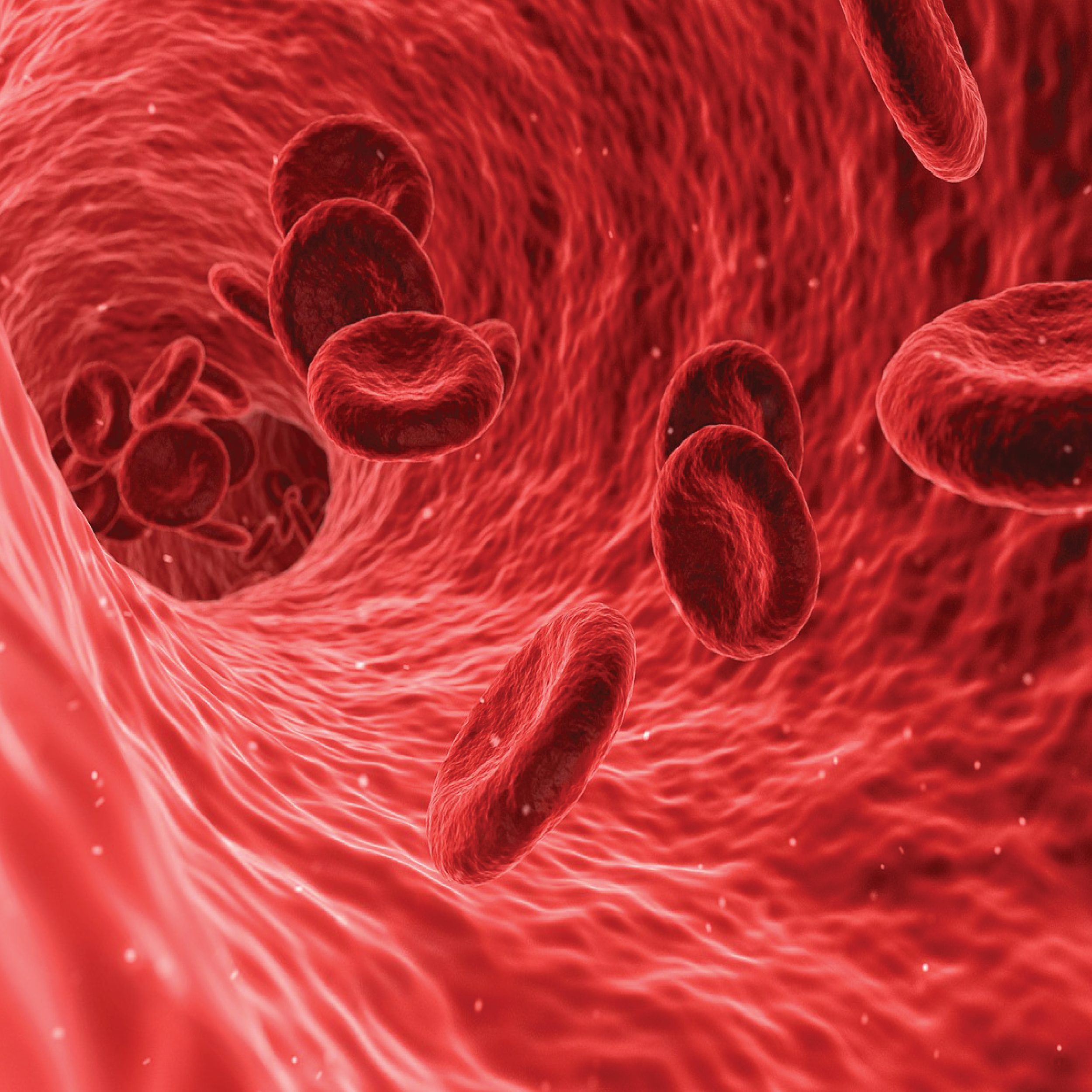 Top 10 Spotlight: ABOzymes Biomedical