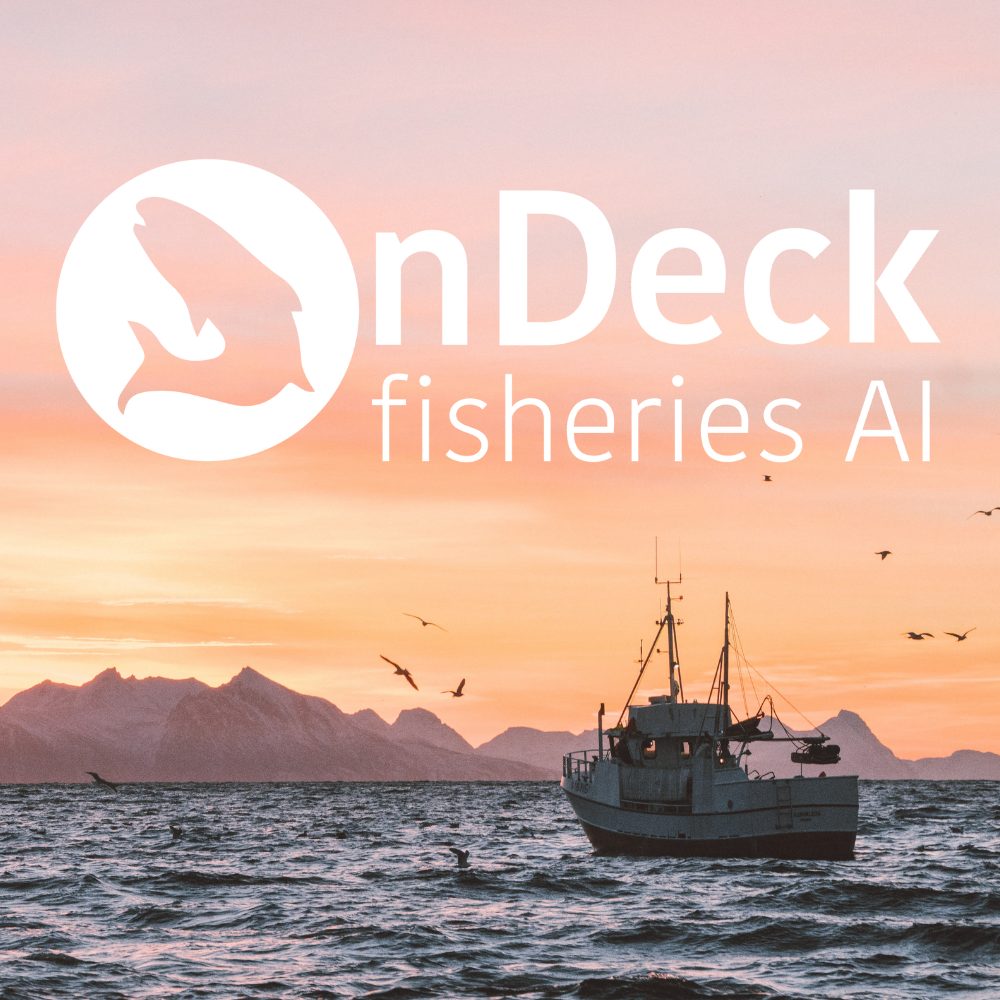 Top 25 Spotlight: OnDeck Fisheries AI