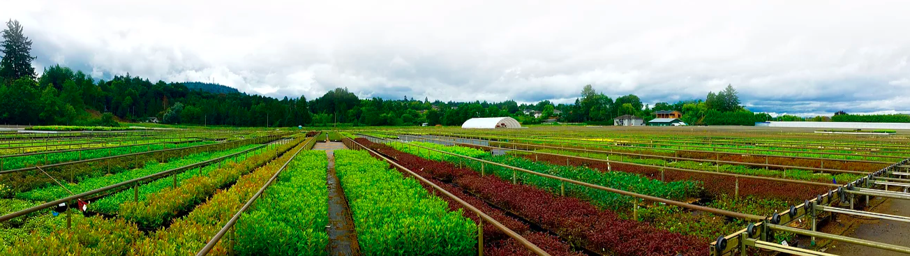 Top 10 profile: Ecoation Innovative Solutions