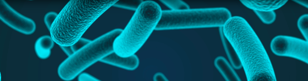 Top 10 profile: Microbiome Insights