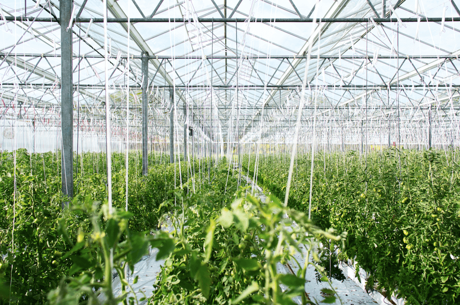 Ecoation raises $5.4 Million in seed financing