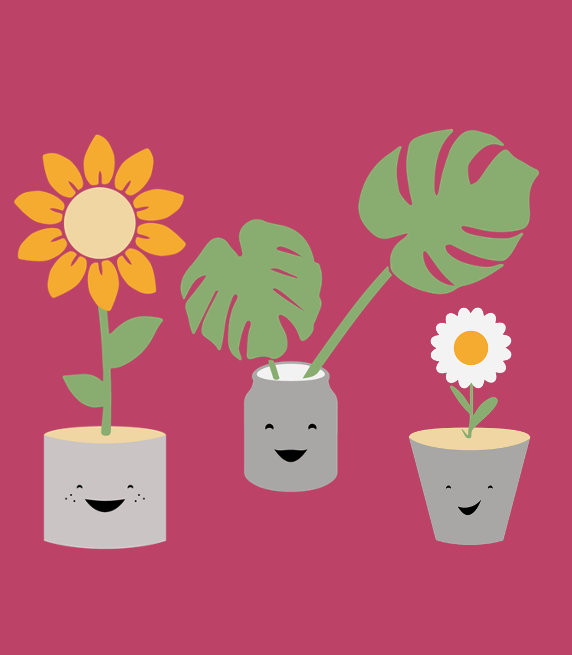 plants