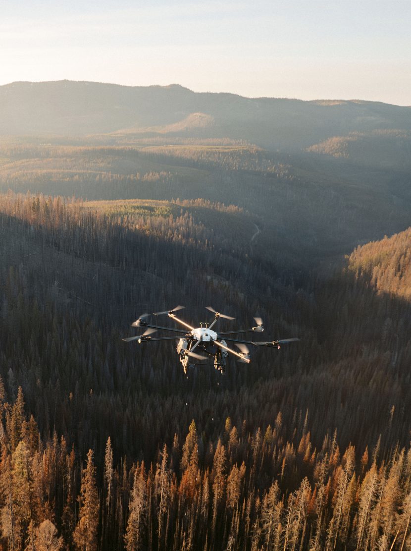 Where Are They Now? How Flash Forest is Leading the Reforestation Charge