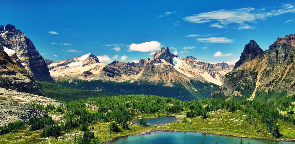B.C. Startup in Residence (STIR) Pilot Program Launches Second Cohort