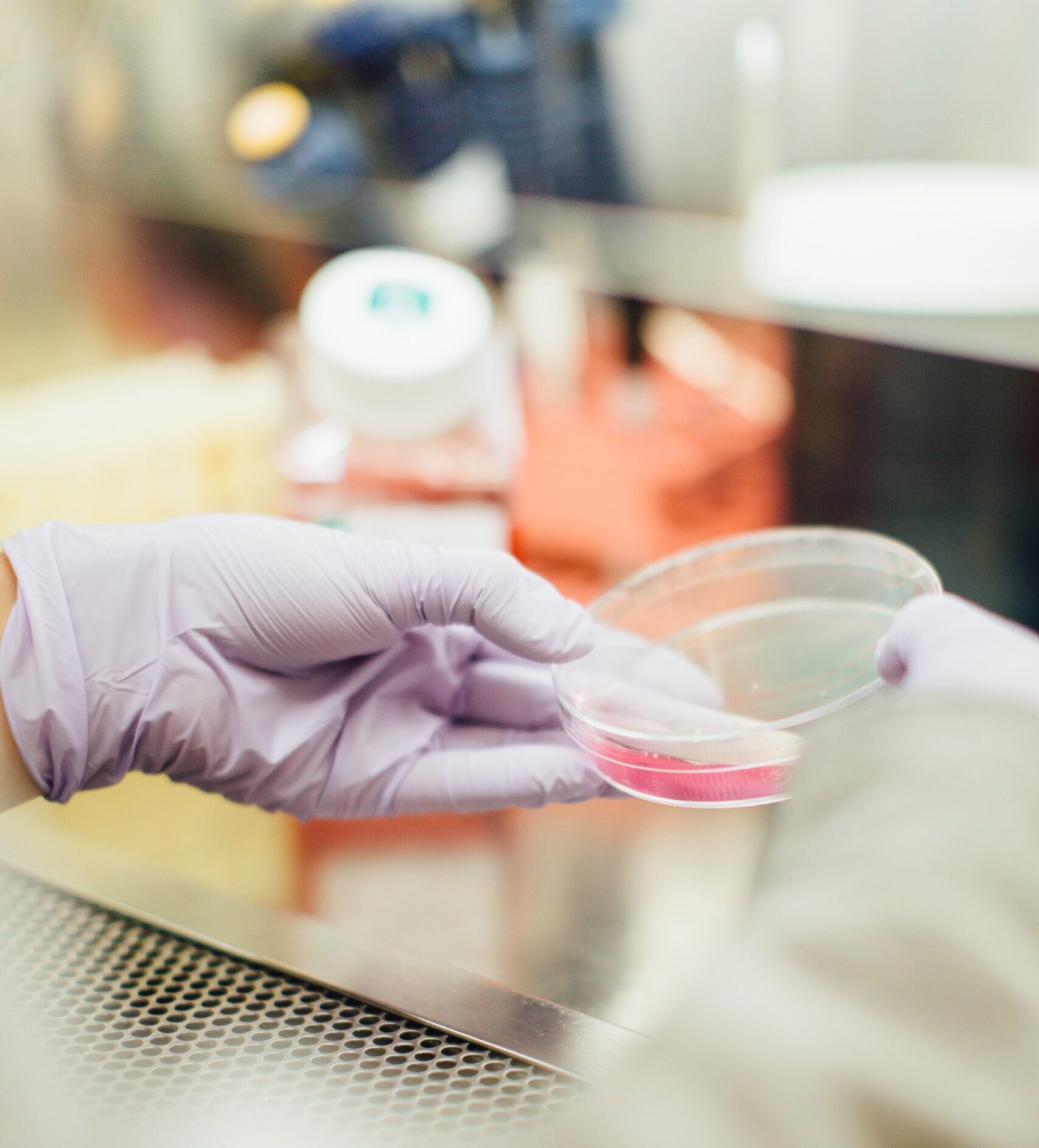 Top 25 Spotlight: Arrowsmith Genetics