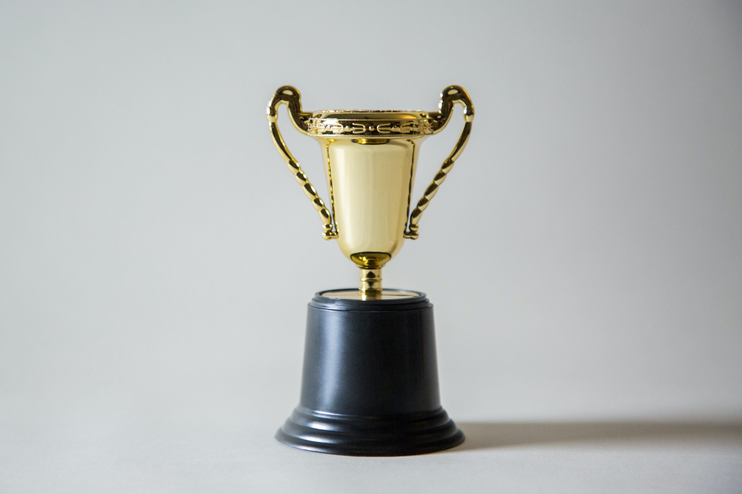 2003 Competition Winner