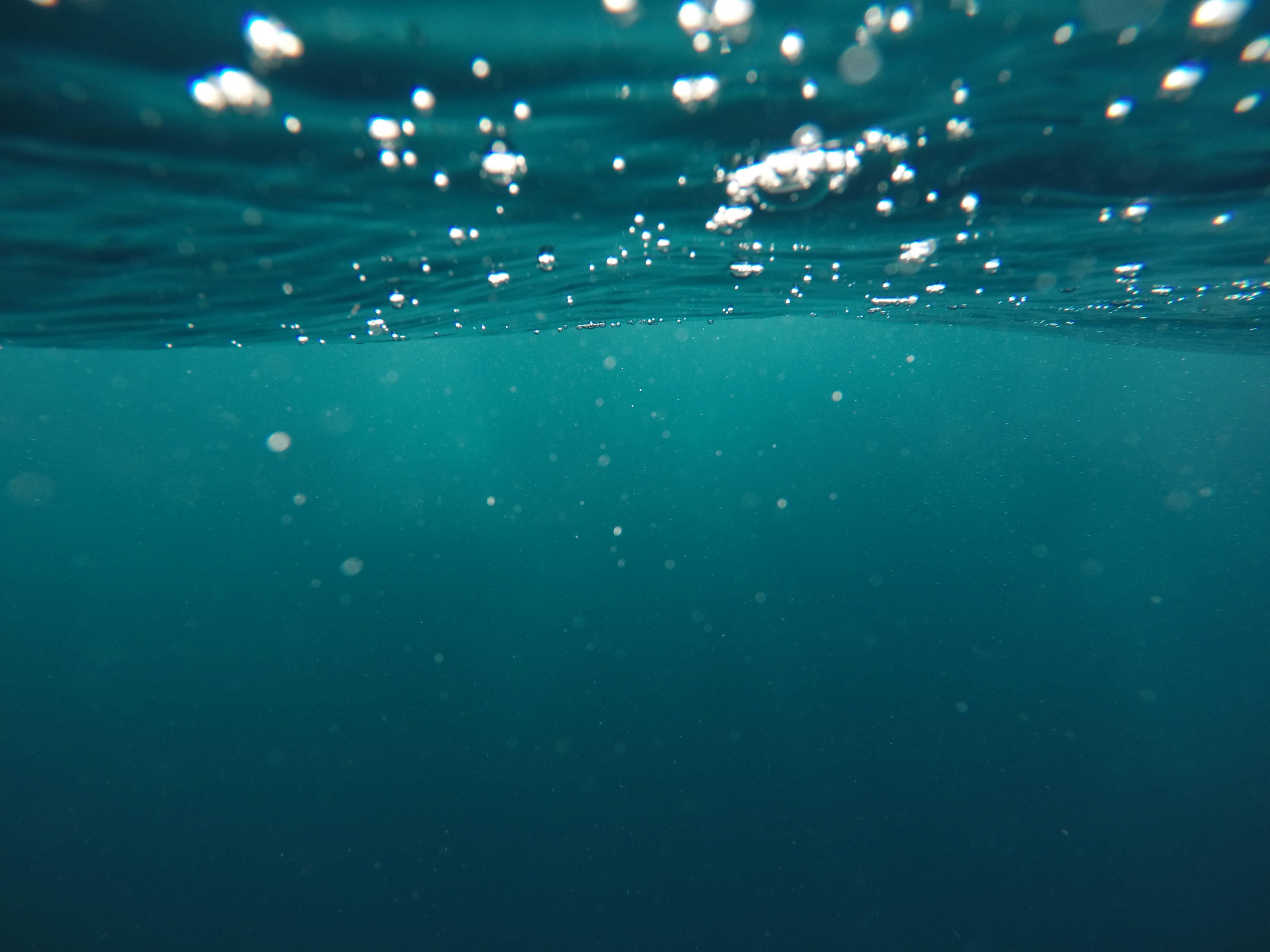Mangrove Water Technologies wins $3M grant