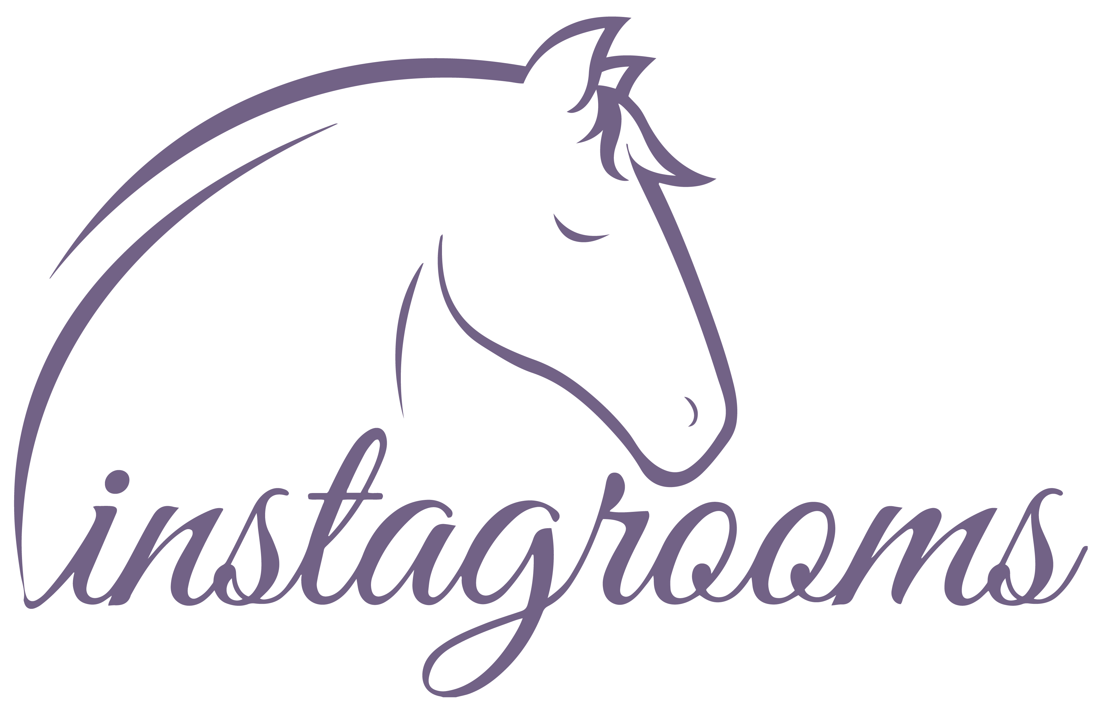 Instagrooms