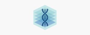VoxCell BioInnovation logo