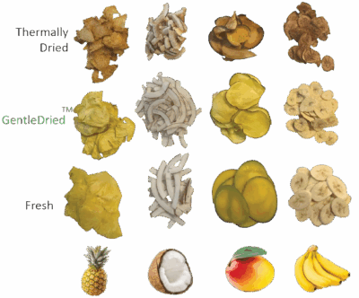 CanDry’s product display showing various fruits at different levels of driedness, each labeled with a description indicating the moisture content or drying stage.