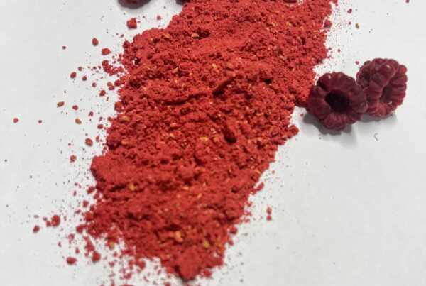 Dried raspberries and a powdered version displayed on a white background.