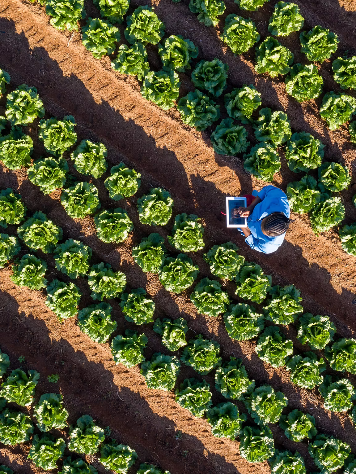 Top 25 Spotlight – Soiltrackers Solutions Inc.